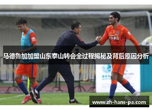 马德鲁加加盟山东泰山转会全过程揭秘及背后原因分析